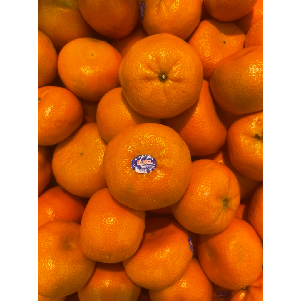 

Jeruk Aferor Seedlees Jumbo | Jeruk Seedles Super Fresh 1 kg