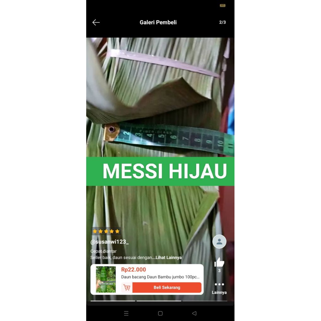 

Daun bambu bungkus bakcang segar per 100 lembar