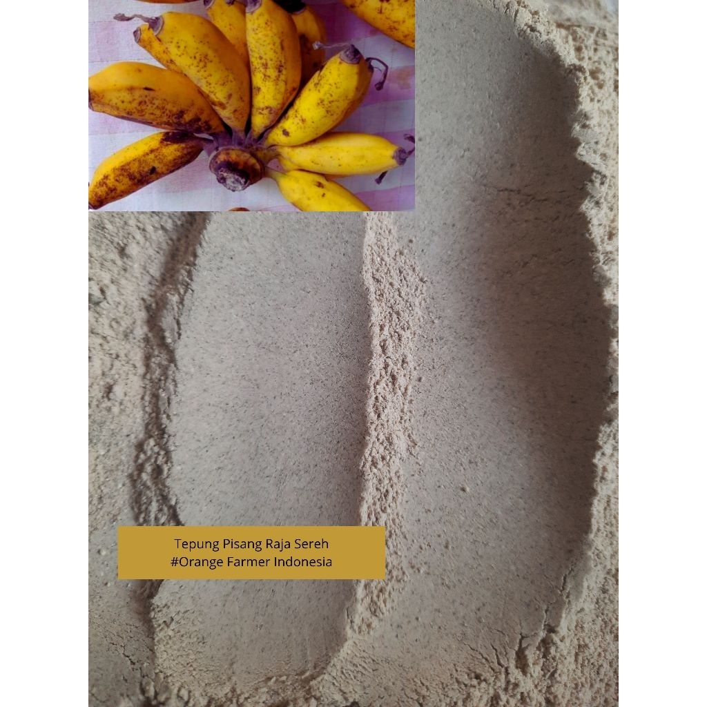 

Tepung Pisang Raja SEREH, Pure Organik 500gram