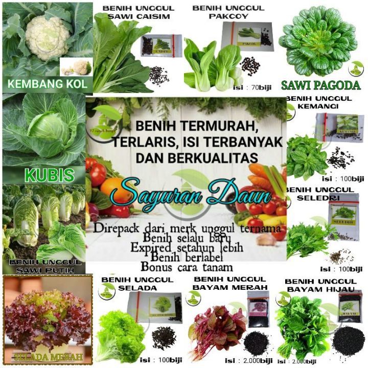 Paket Hemat 15 Macam Bibit Sayur Hidroponik Sayuran Daun Unggul