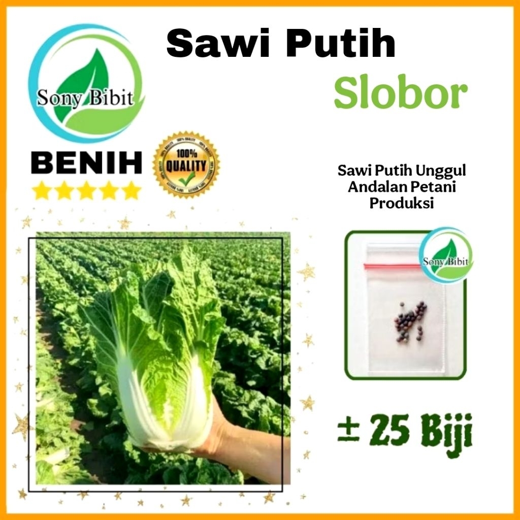 50 Benih Sawi Putih Slobor Dataran Rendah Maupun Tinggi