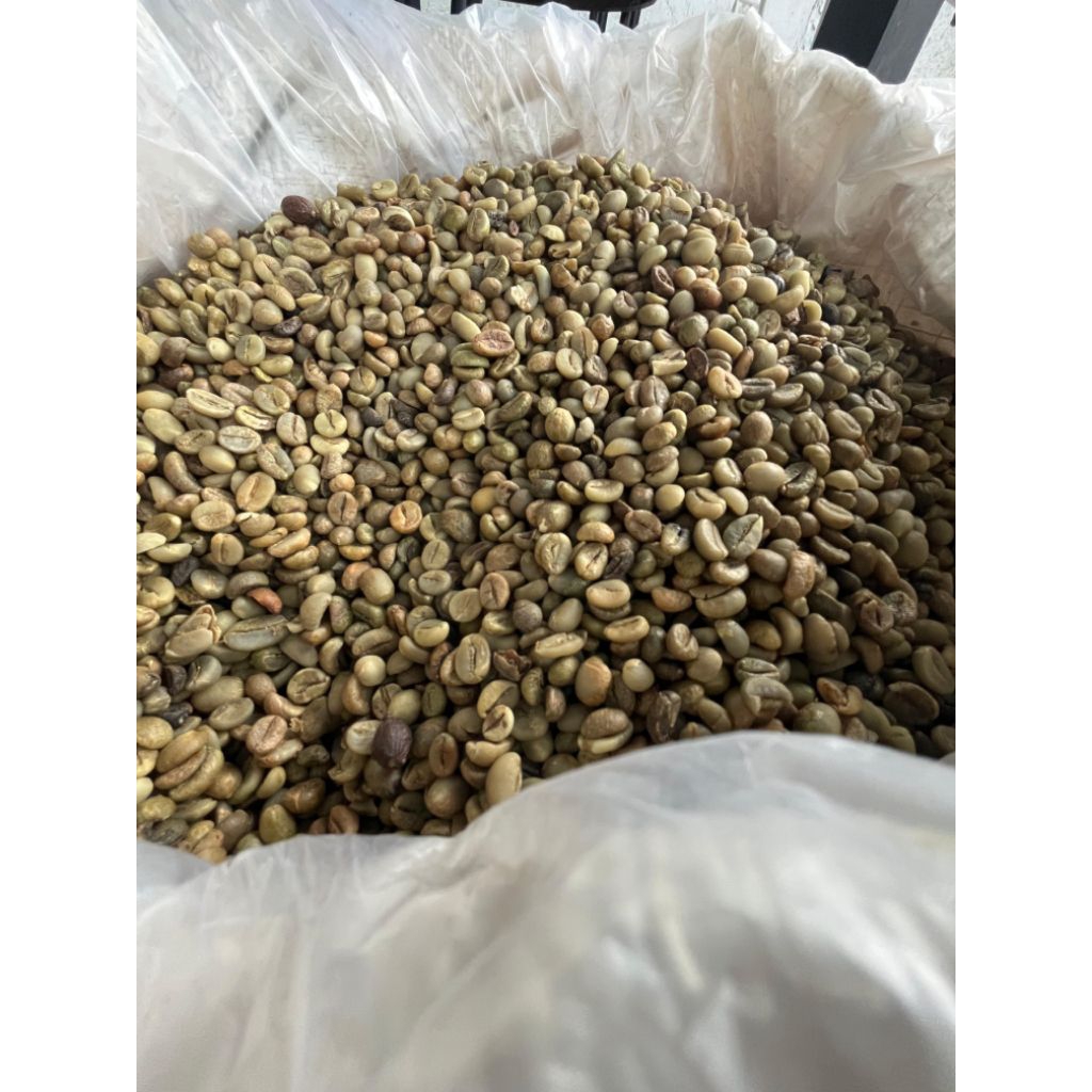 

Greenbean Robusta Grade 2 JawaBarat Natural Proses