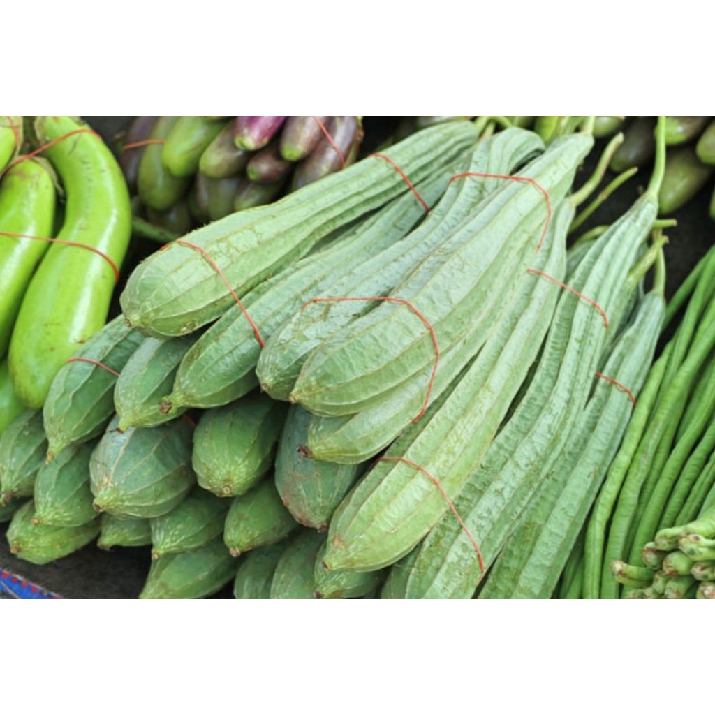 

sayur gambas 500gram segar bppn