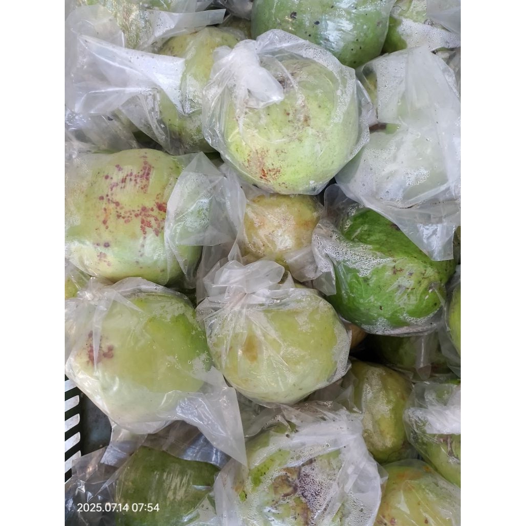

Jambu Kristal Soteran 1KG