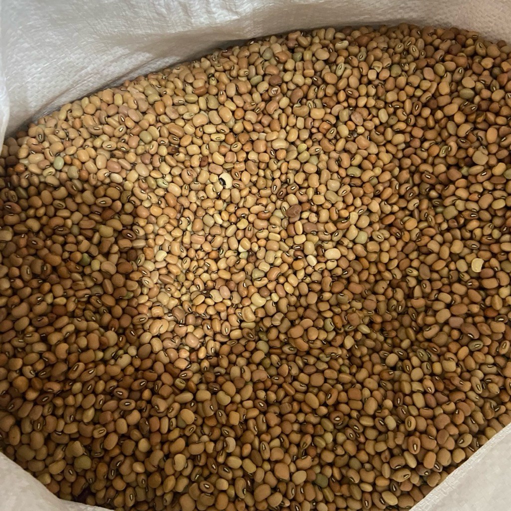 

Kacang Lotto super kemasan 500g-1kg