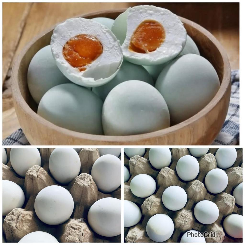 

TELUR ASIN MATANG / salted egg / Telur itik asin / Telur bebek asin