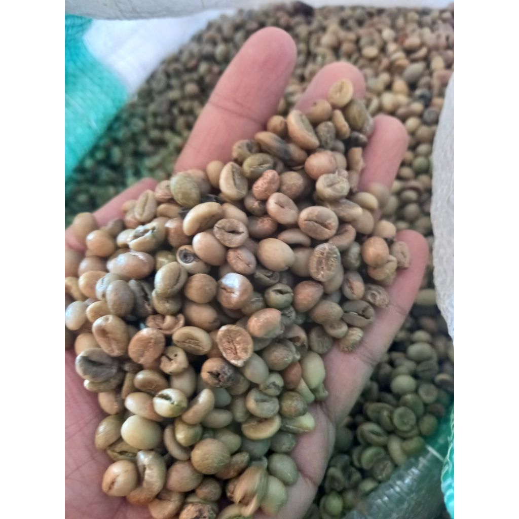 

Promo murah,Biji kopi robusta asalan( non Sortir)