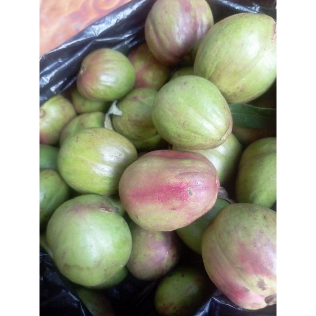 

buah mahkota dewa seagr 500gr