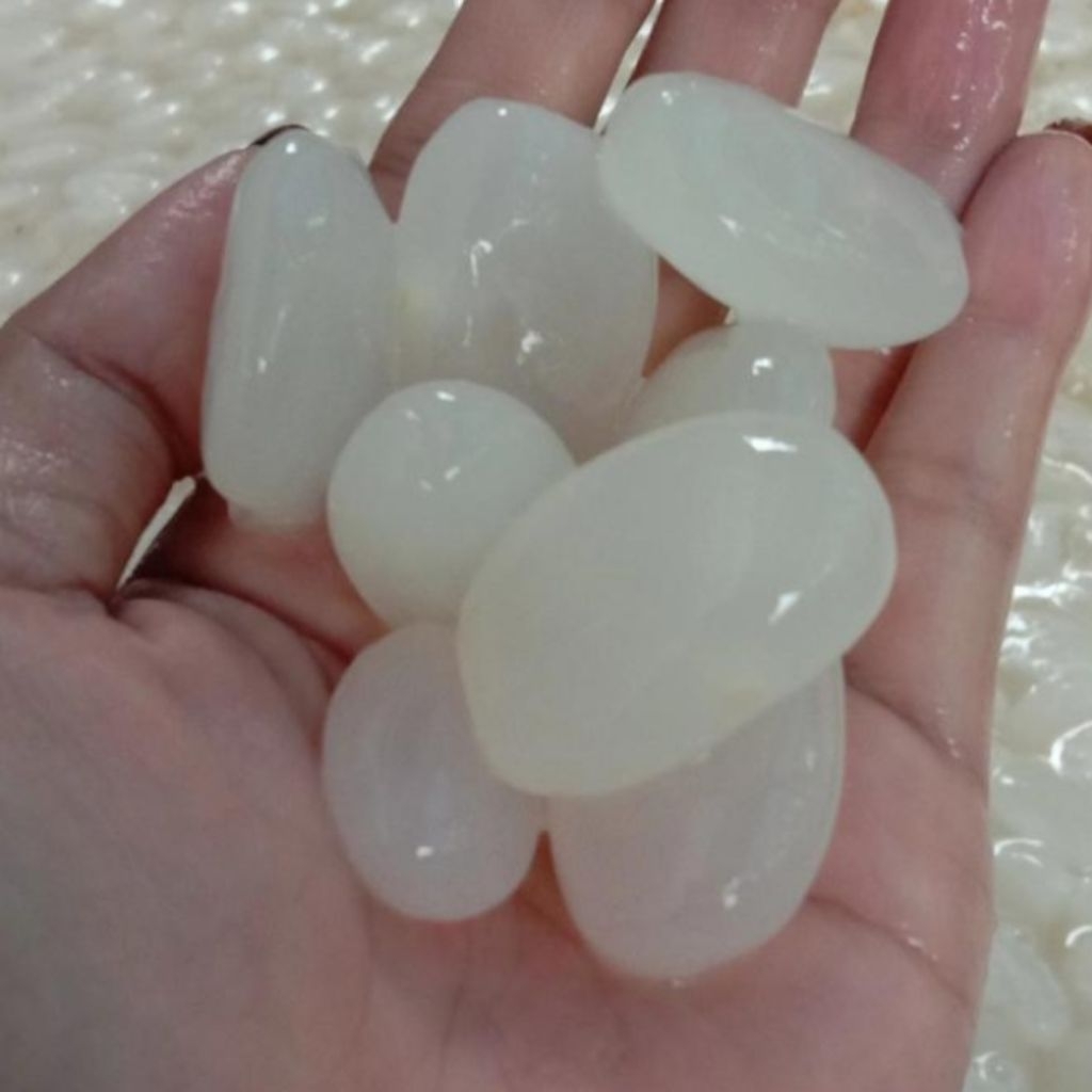 

kulang kaleng segar dadakan 500gram baru di olah