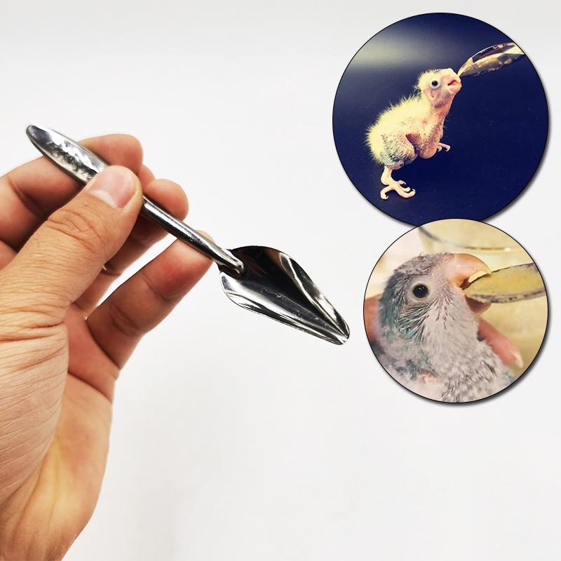 sendok lolohan anak burung lovebird parrot parkit falk murah toko cica murah