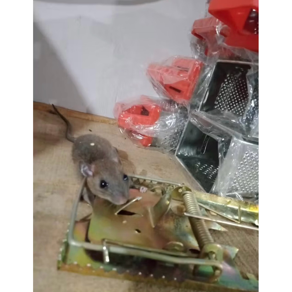 JEBAKAN TIKUS MURAH / JEBAKAN PERANGKAP TIKUS / PENJEPRET TIKUS / JEPRETAN TIKUS MURAH