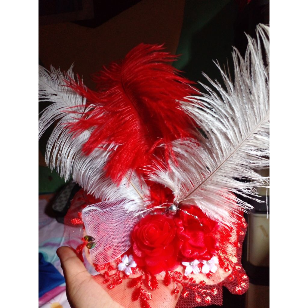 hiasan kepala bulu bulu