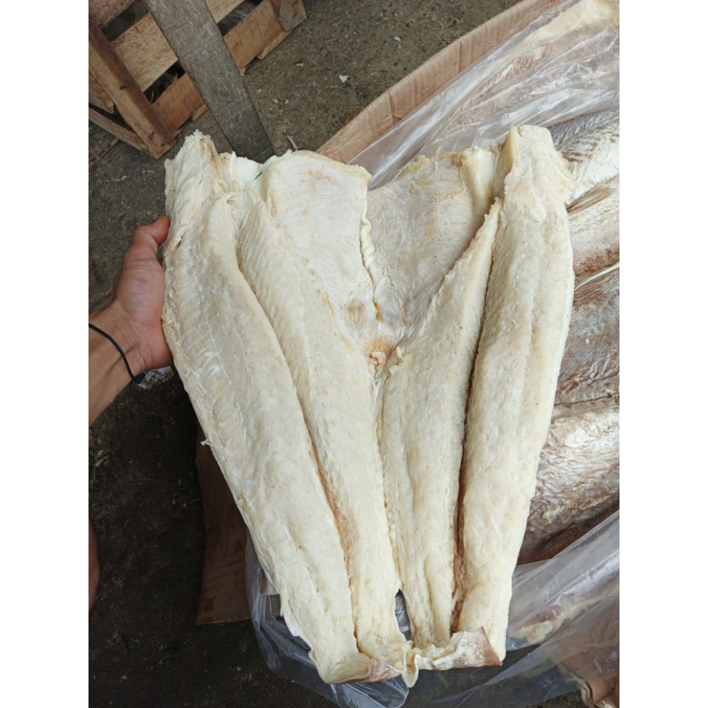 

Grosir ikan asin, ikan asin jambal, asin jambal, ikan baung, berat 1000gram