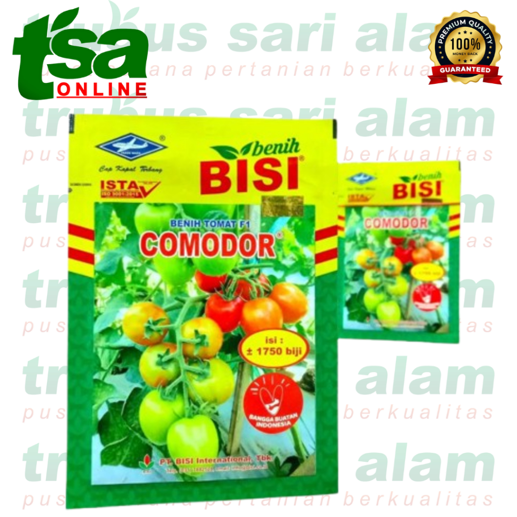 Benih Tomat COMODOR  5 Gram Cap Kapal Terbang | Benih COMODOR