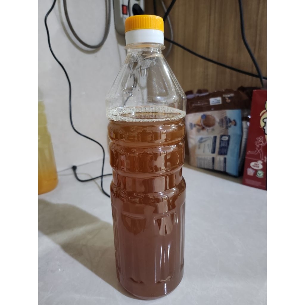 

kombucha free scoby original home made teh fermentasi