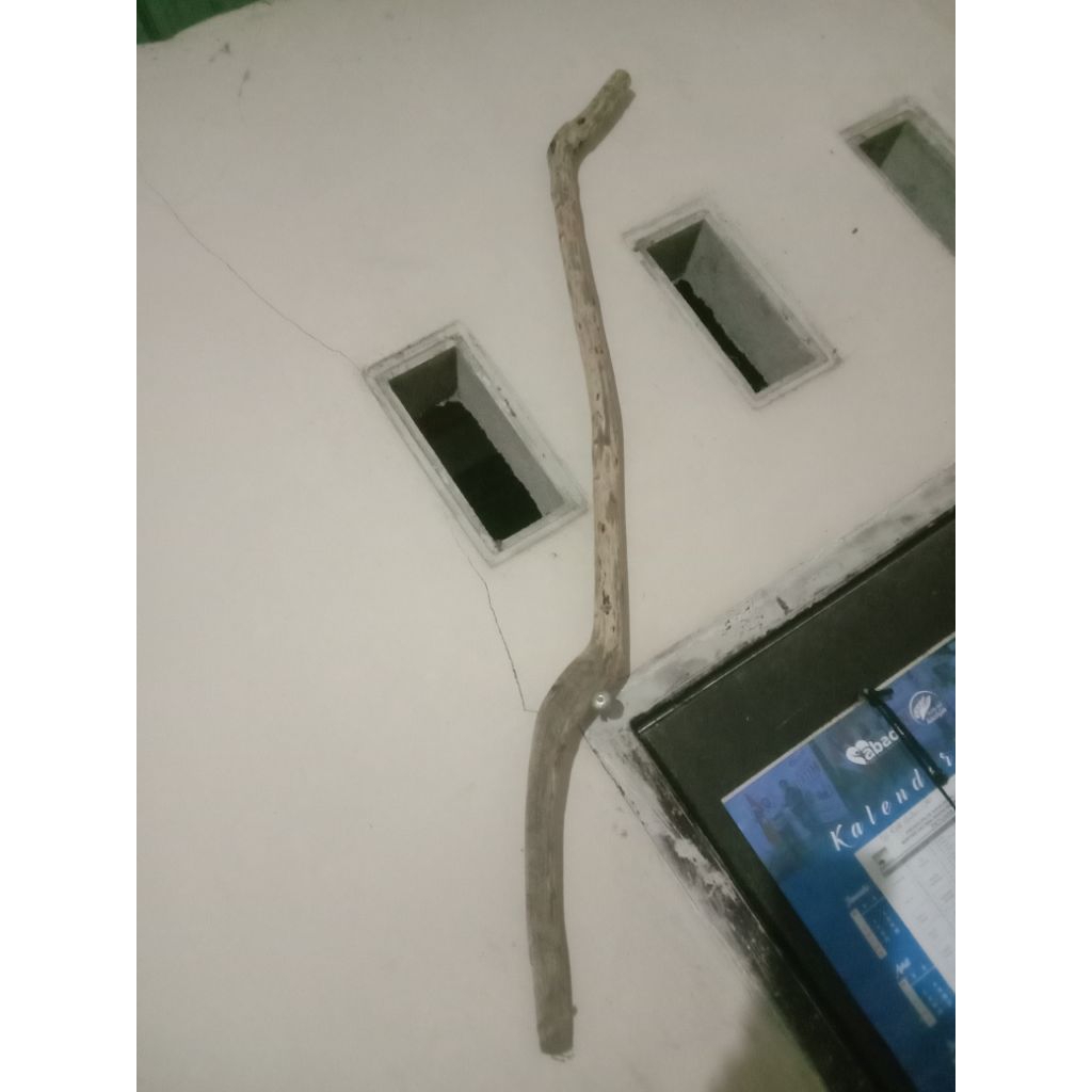 Kayu Sulaiman