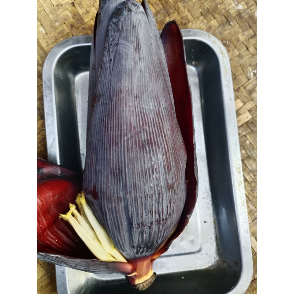 

jantung pisang kepok / oer pisang manggala /biji