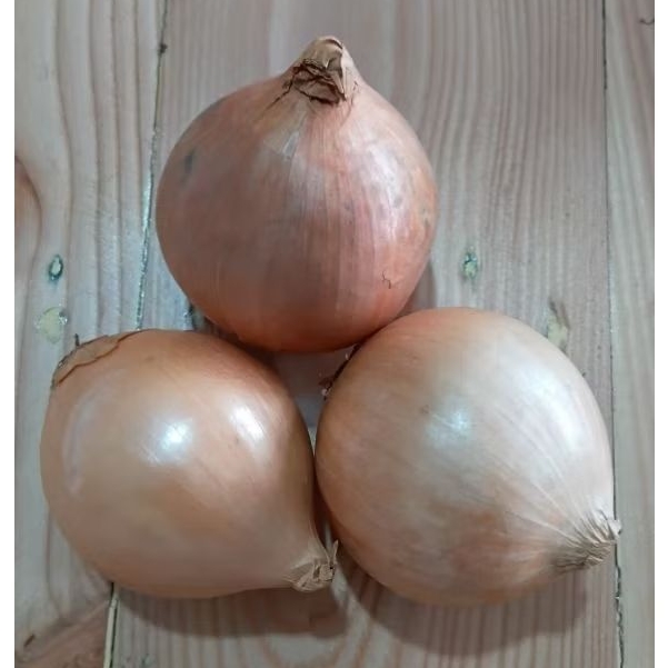 

bawang bombay per 1pcs