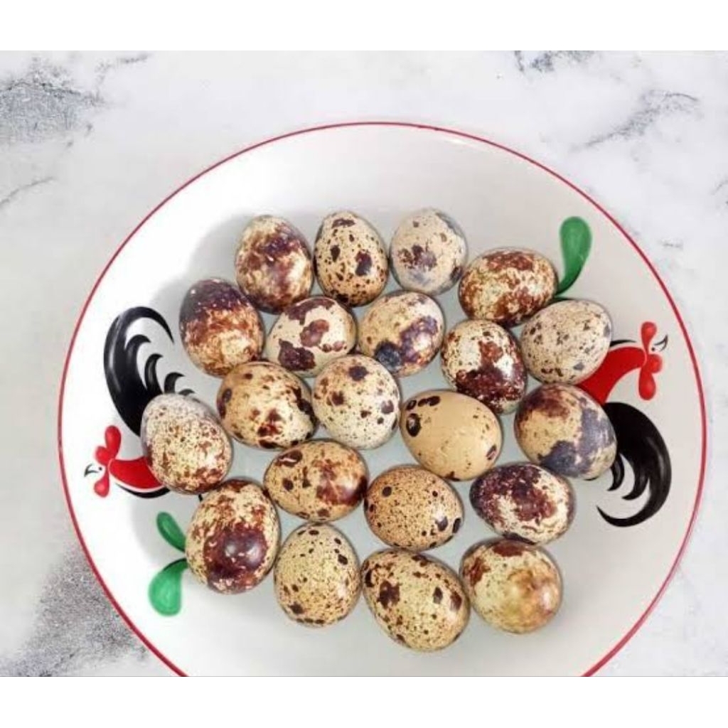 

Telur puyuh rebus asli organik belum di kupas isi 25 butir siap saji