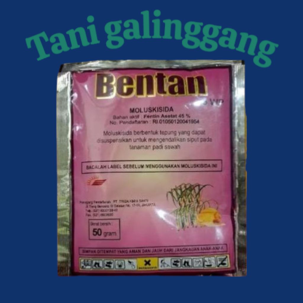 OBAT KEONG BENTAN 45WP 50 GRAM BASMI HAMA KEONG SAWAH
