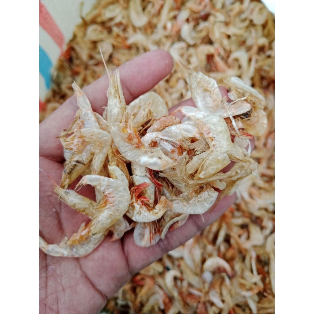 

1KG Udang Kering / Pakan Ikan Channa
