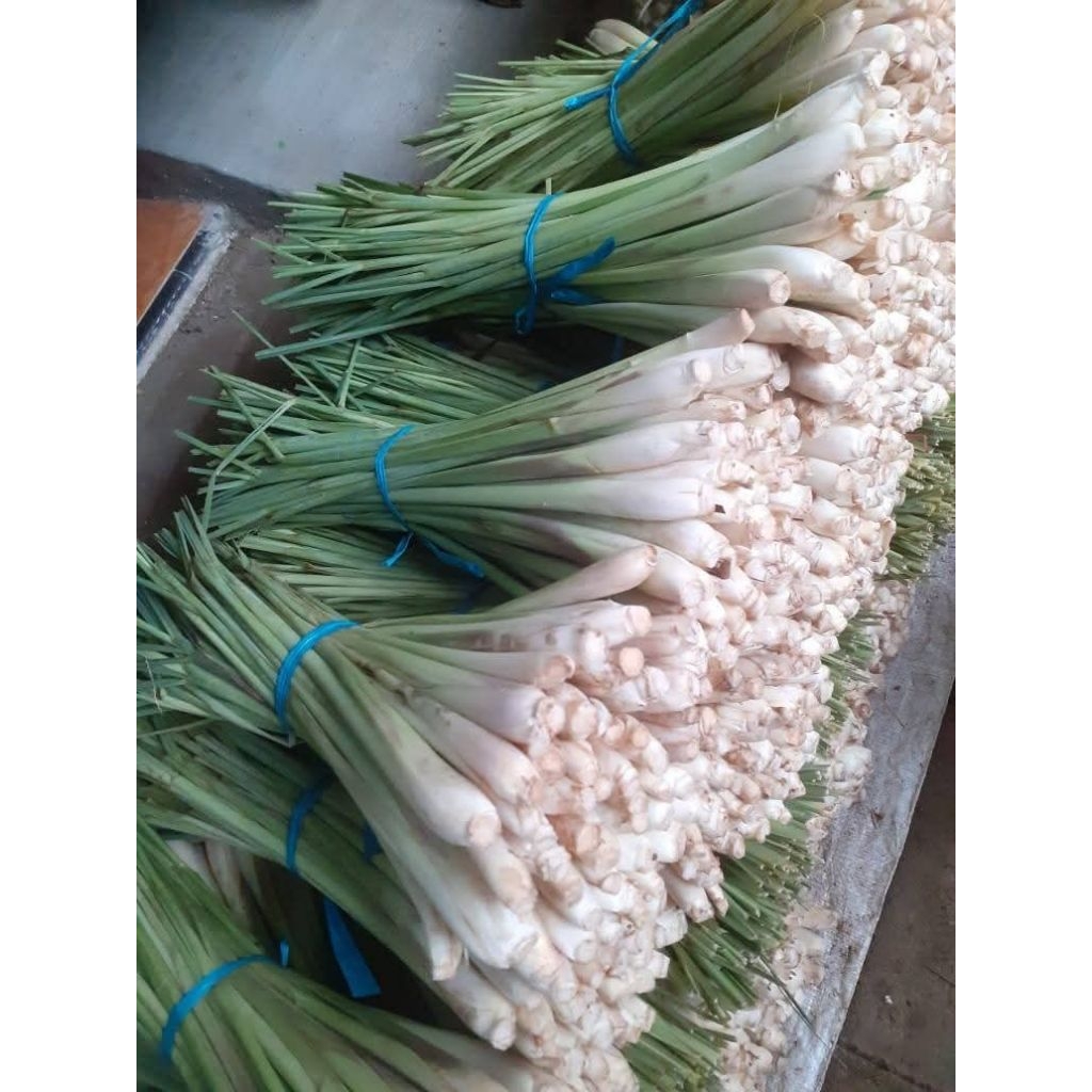 

1kg Sereh/Serai Jumbo Masih Fresh&Segar