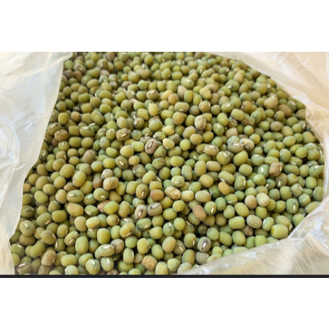 

kacang hijau