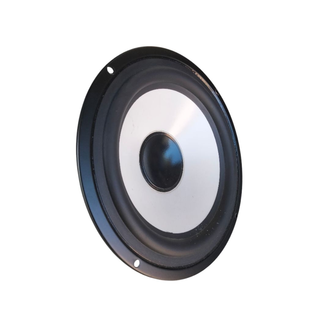 SPEAKER WOOFER POLYTRON 8INC