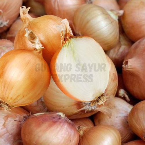 

Bawang Bombay 500 gr