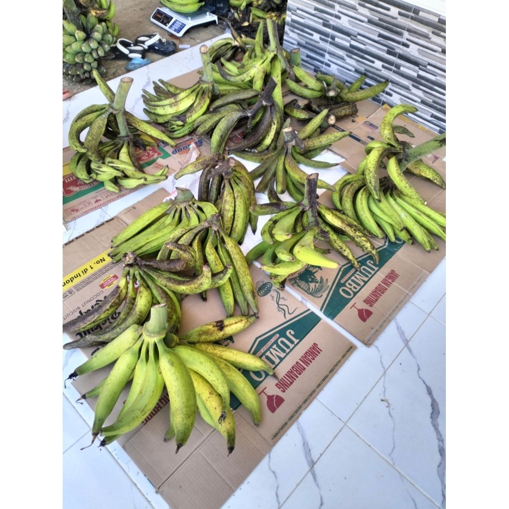 

PISANG TANDUK MADU 2 KG