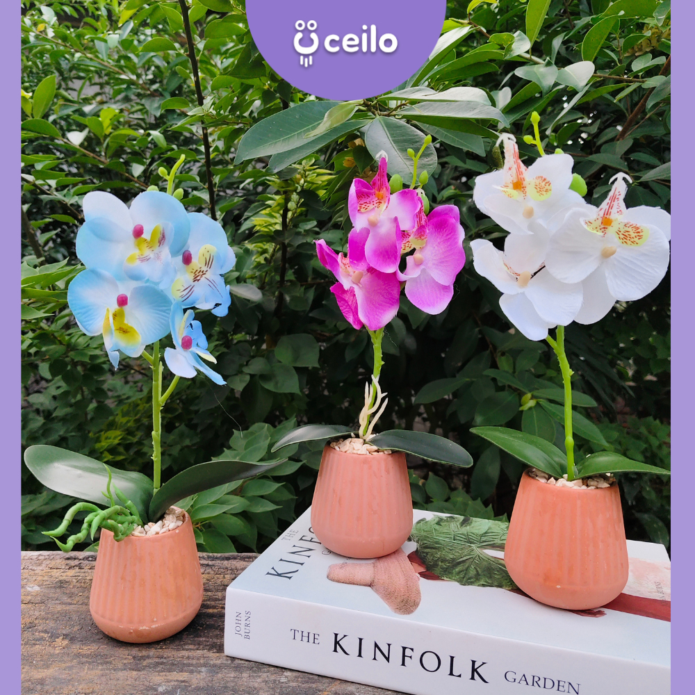 CEILO Bunga Anggrek Hiasan Meja | Anggrek Artificial | Anggrek Palsu | Bunga Hiasan Meja | Anggrek B