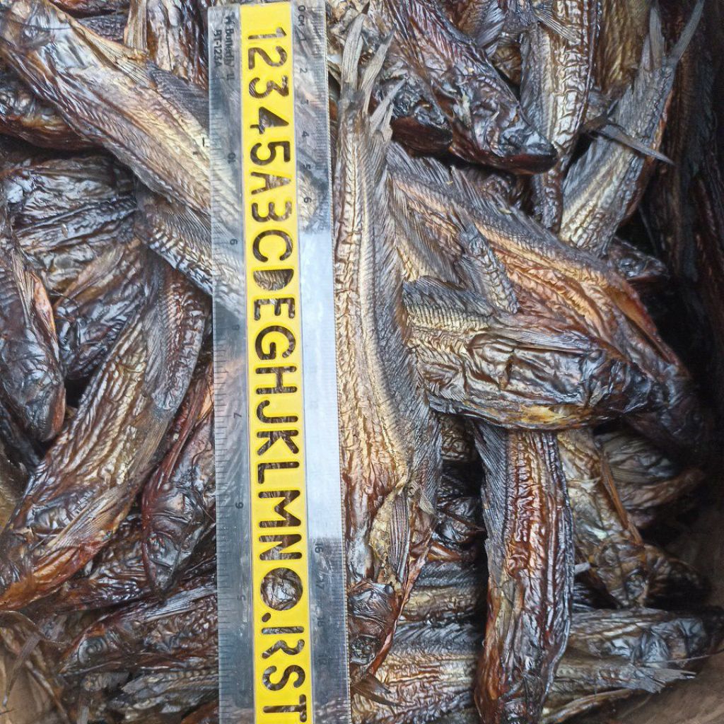 

ikan selais lais asap Salai