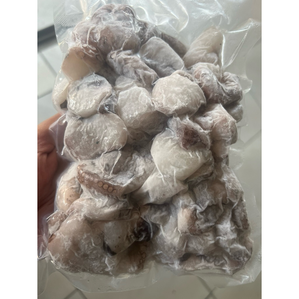 

Gurita Potong kemasan 500gr Premium