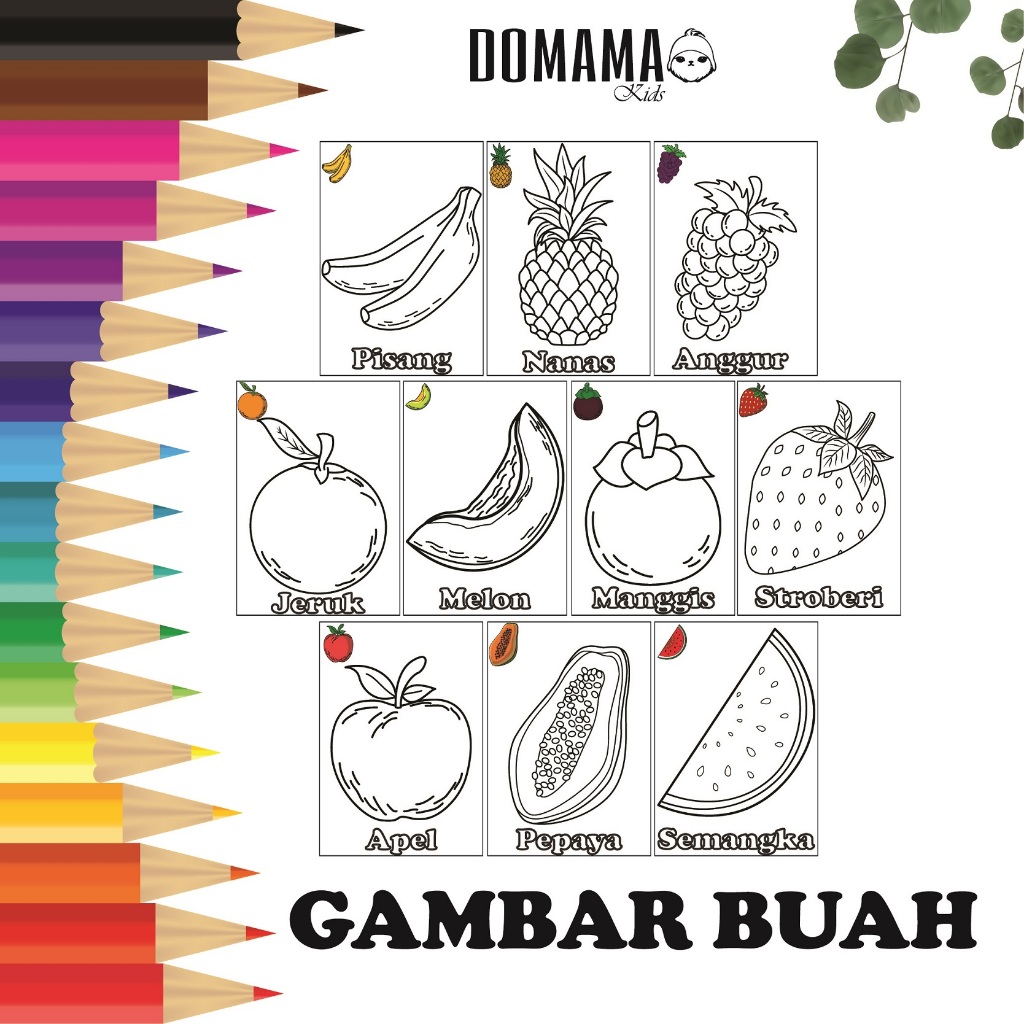 

Buah - buahan : Gambar Mewarnai untuk Anak TK dan PAUD