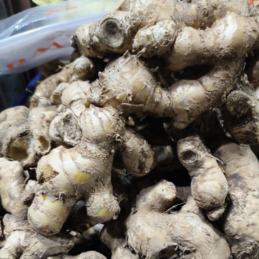 

Jamu lempuyang herbal murah berkhasiat