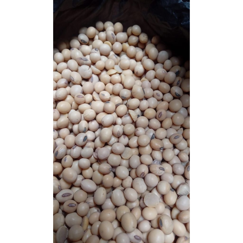 

kacang kedelai merk Pagoda