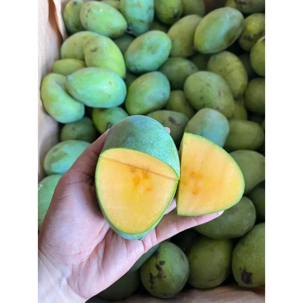 

mangga simanalagi fresh 1kg