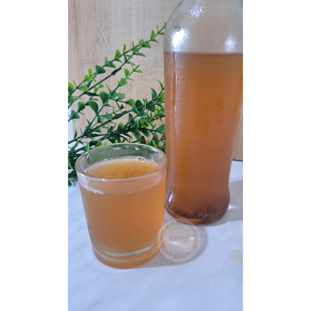 

Kombucha Tea Original 350ml