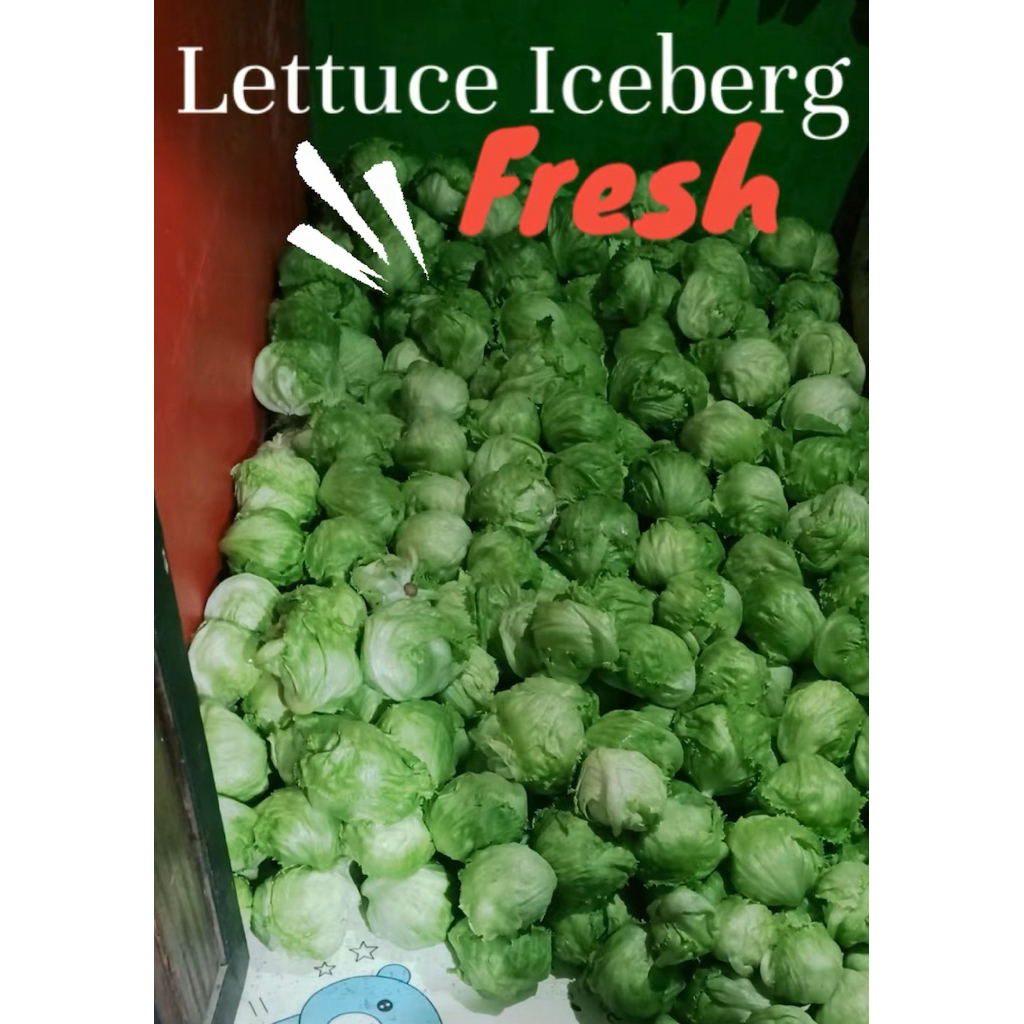 

LETTUC*E ICEBER*G