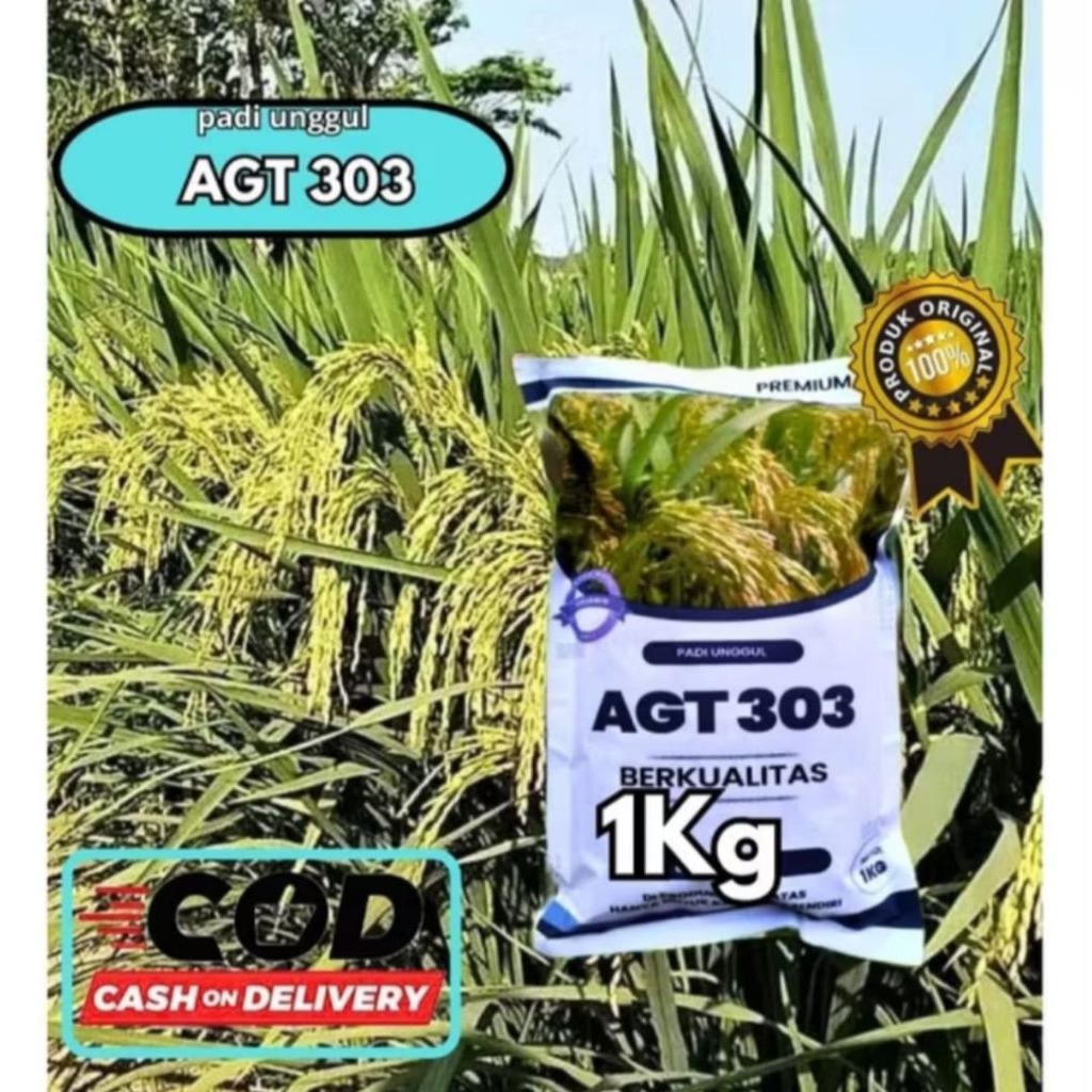 

padi agt 85 HST 1 KG