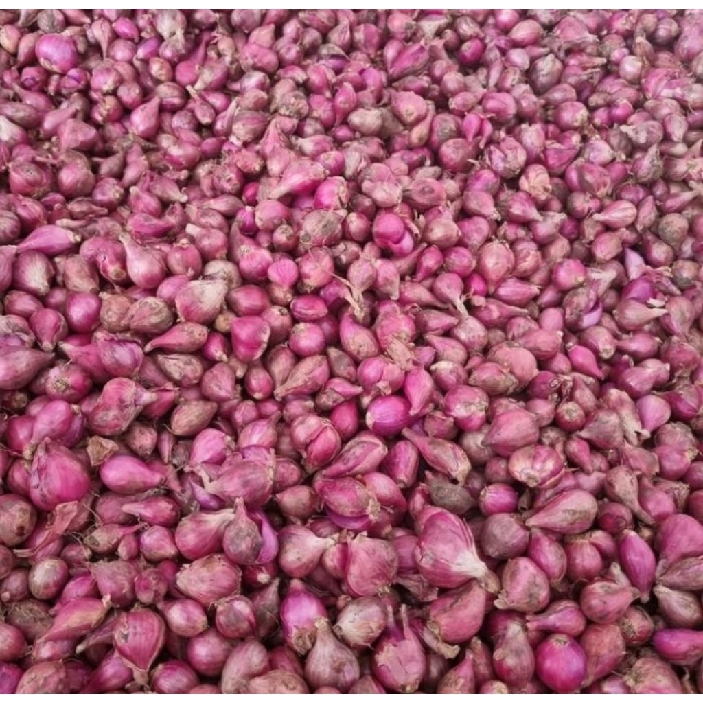 

bawang merah 1 kg pilihan dan segar