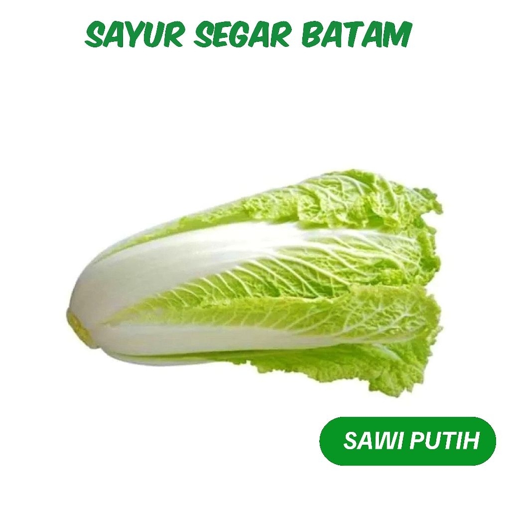 

Sawi Putih - Sayur Segar Batam