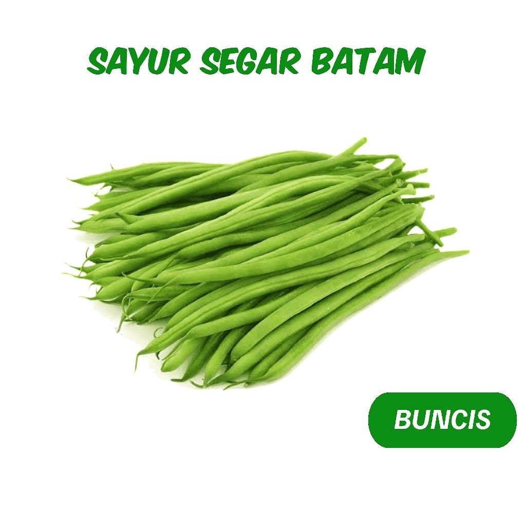 

Buncis Segar - Sayur Segar Batam