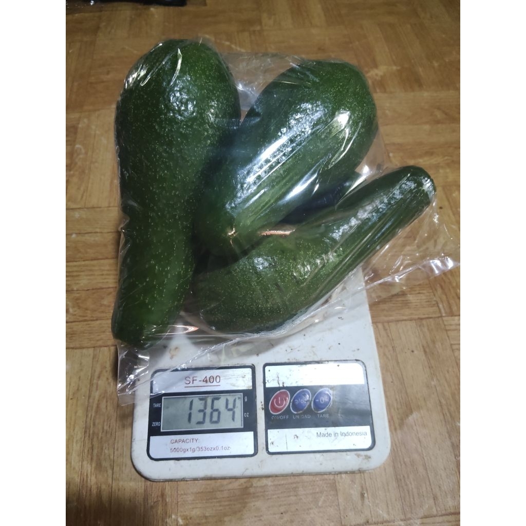 

alpukat mentega segar 2,KG kualitas pilihan