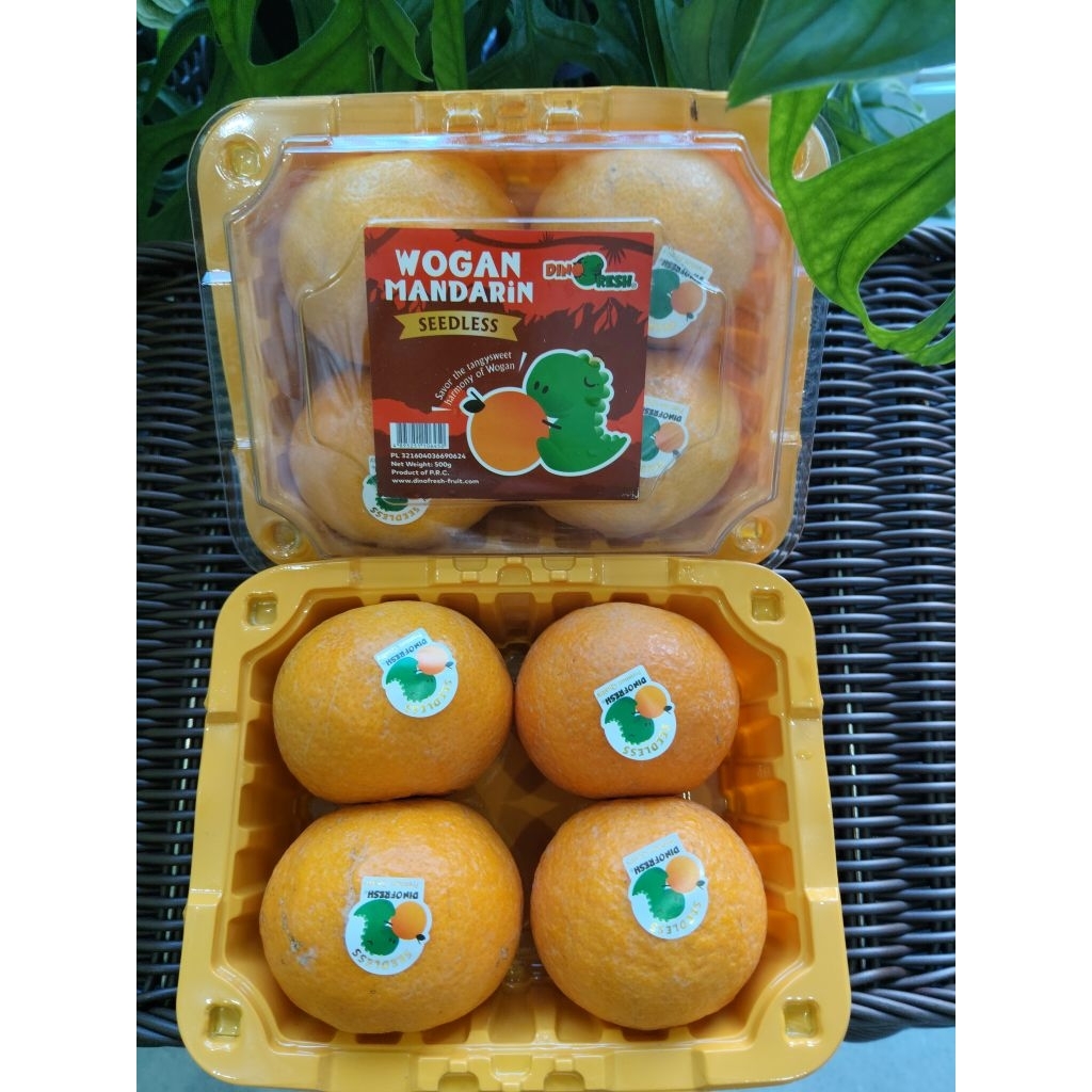 

Jeruk Wogan Dino pack 500gr Sedless