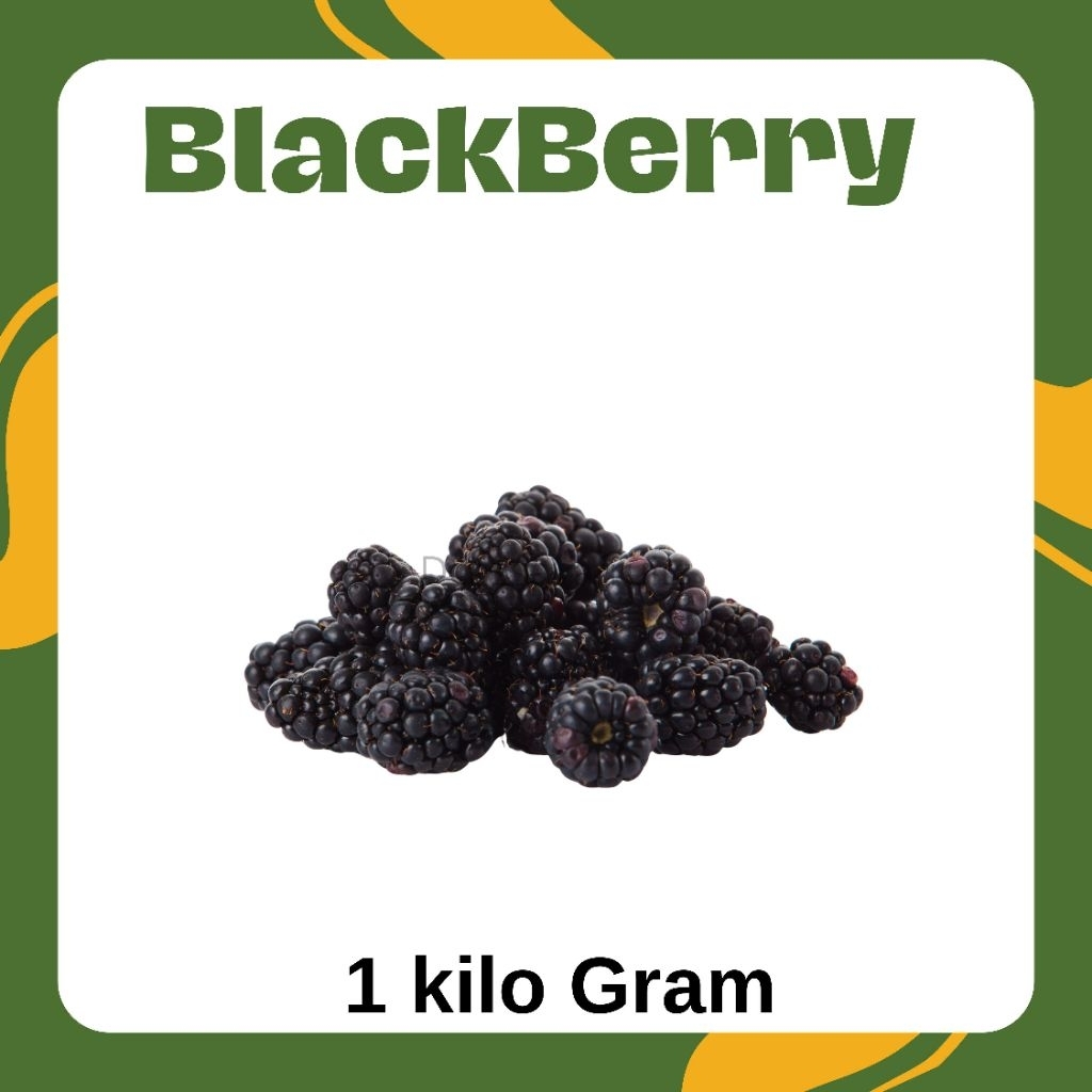 

Buah Murbery fresh 1kg