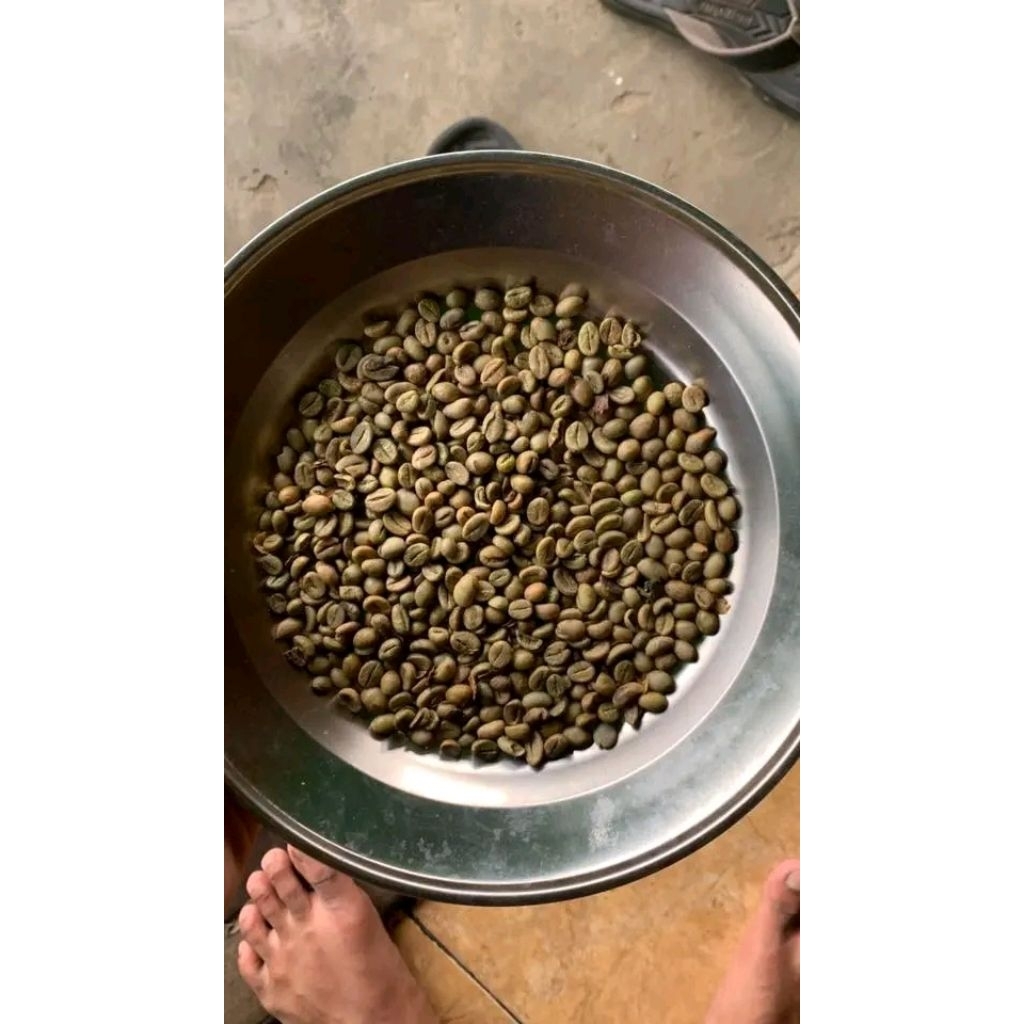 

biji_kopi_robusta
