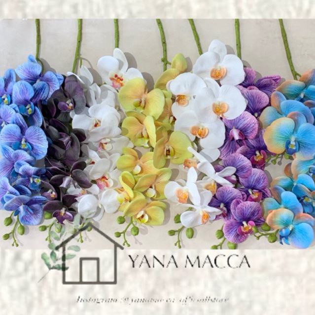 Anggrek Latex Super Premium  anggrek cabang isi 9 Kuntum