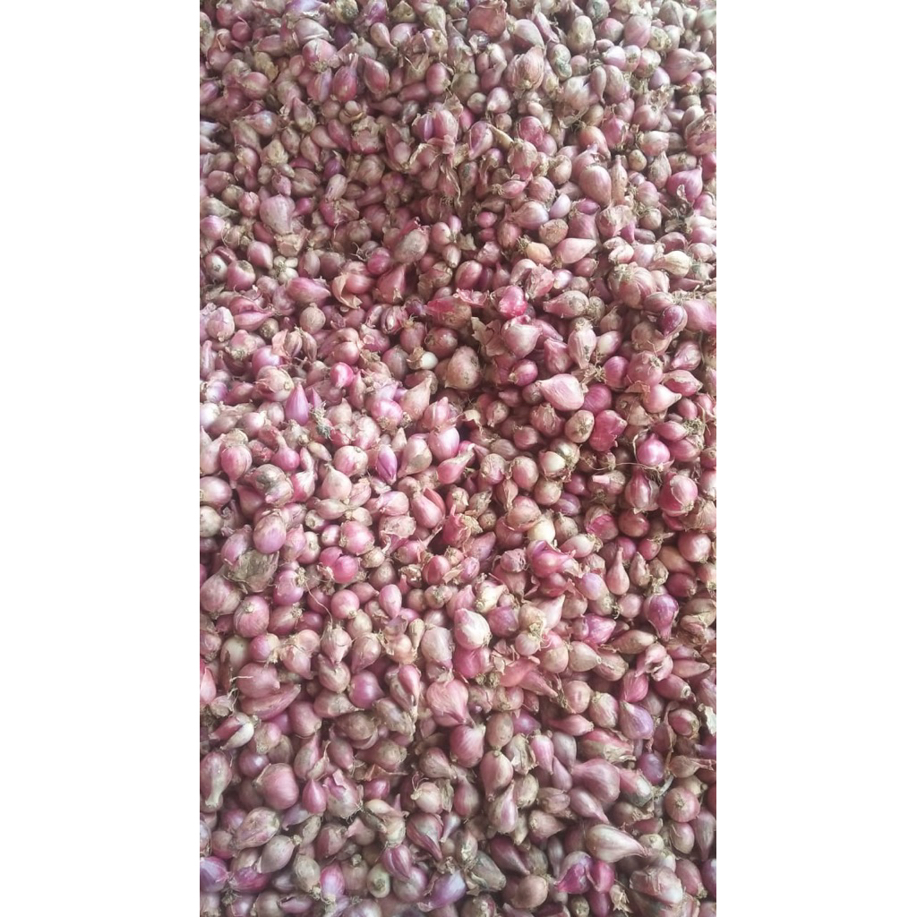 

Bawang Merah Nganjuk (Sedang) 1kg
