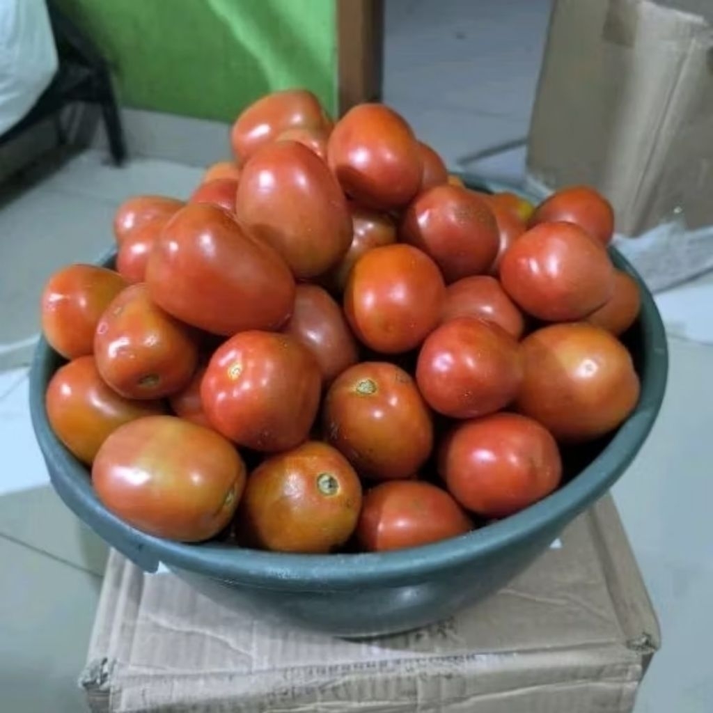 

Tomat fresh 500g-1kg